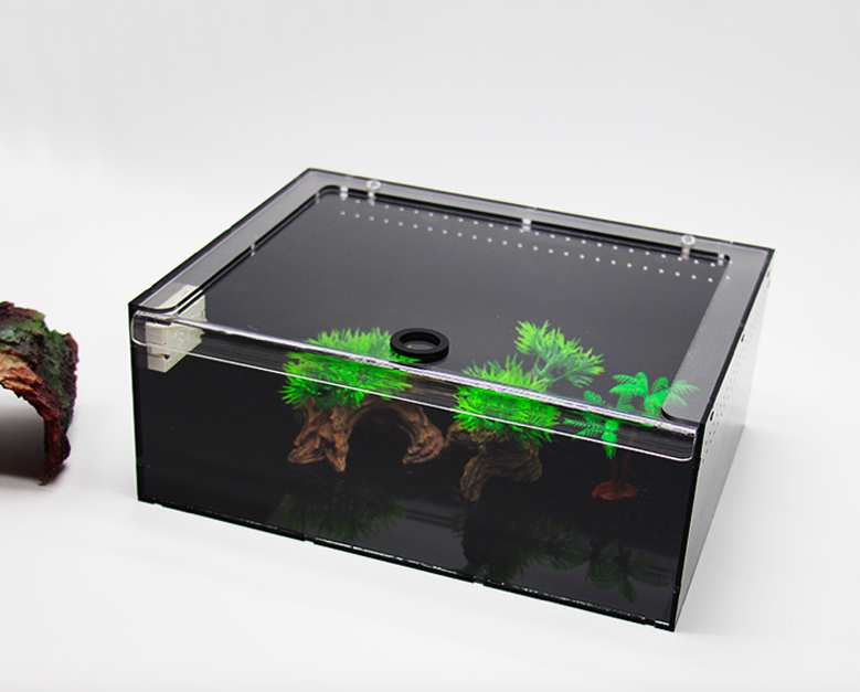 Acrylic Reptile Terrarium Insect Tarantula Enclosure Tank Snail Spider Habitat Cage Mini Critter Keeper Insect Carrier