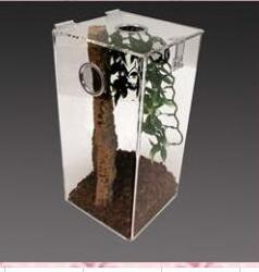 Acrylic Climbing Cabinet Special Feeding Box Spider lizards Snake Anti-Escape Acrylic Pet Boxes reptile display cases