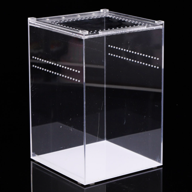 Clear Acrylic Reptile Terrarium Insect Tarantula Enclosure Tank Snail Spider Habitat Cage Mini Critter Keeper Insect Carrier