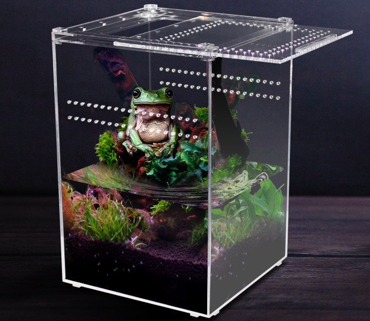 Clear Acrylic Reptile Terrarium Insect Tarantula Enclosure Tank Snail Spider Habitat Cage Mini Critter Keeper Insect Carrier