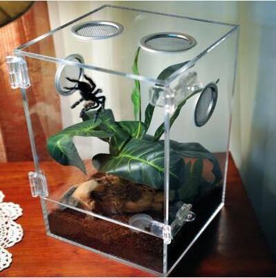 Acrylic Climbing Cabinet Special Feeding Box Spider lizards Snake Anti-Escape Acrylic Pet Boxes reptile display cases