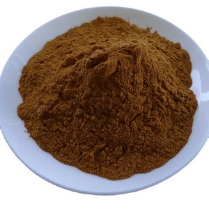 Reishi Mushroom P.E. 10% Polysaccharides / ganoderma lucidum / extract high quality fresh goods large stock factory supply