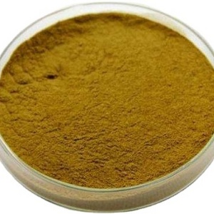 Halal Horseradish Extract  Powder