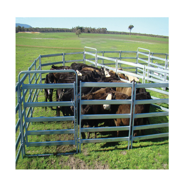 hot selling free standing cattle panels bull pen cattle panels for sale