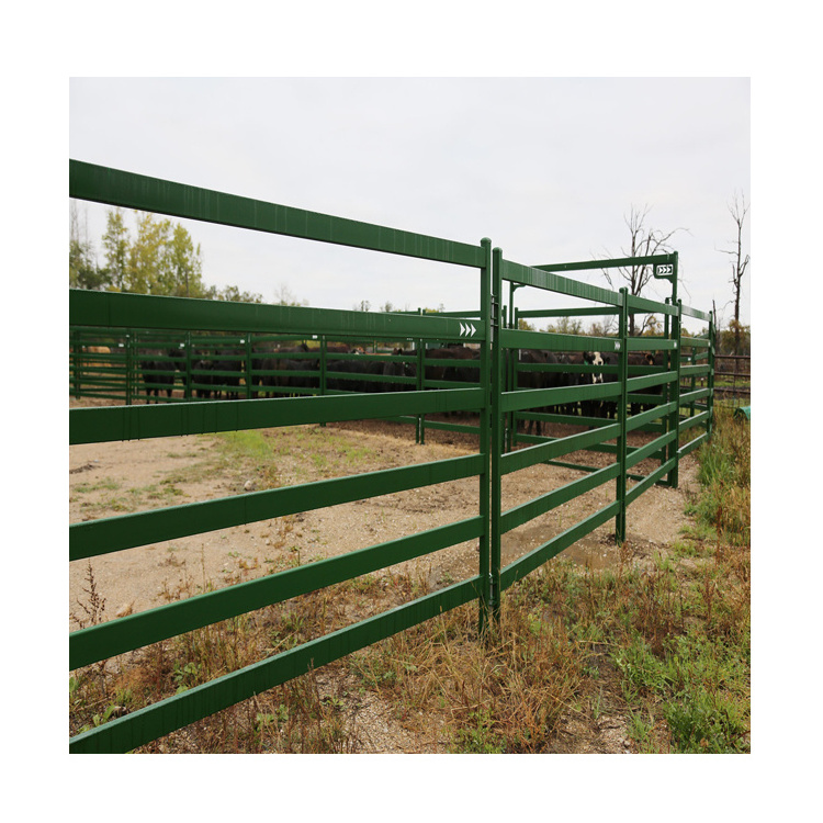 hot selling free standing cattle panels bull pen cattle panels for sale