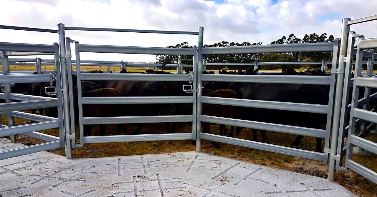 Factory supply high quality cheap field yard used cattle cheap galvanized cattle yard horse fence corral panel