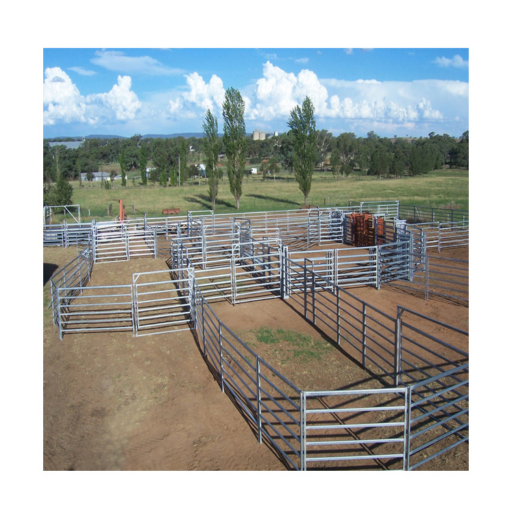 High quality cheap cattle yard panels australia free standing cattle panels