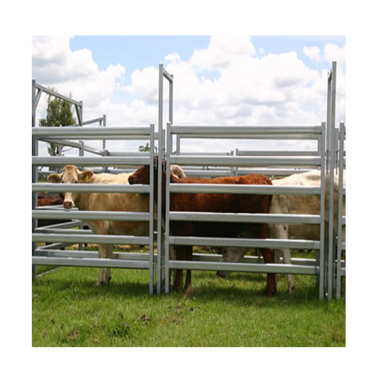 hot selling free standing cattle panels bull pen cattle panels for sale