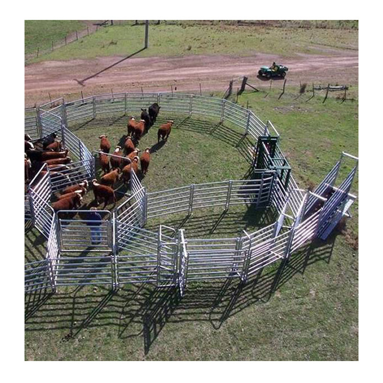 source factory professional customization cheap 16 foot cattle panels cattle yard panels 12 ft cattle panels