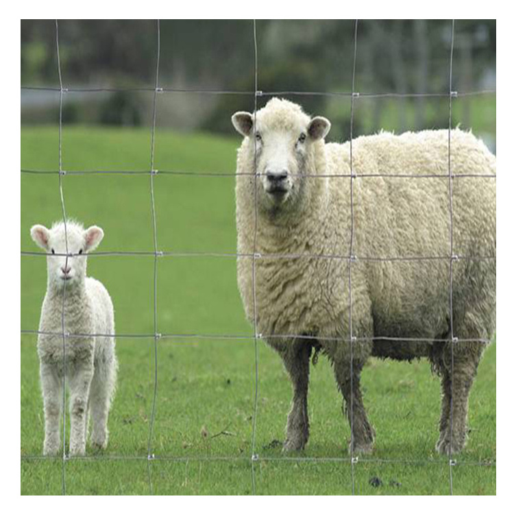 Hot sale field fence field fence farming galvanized field wire fence for goats sheep cows