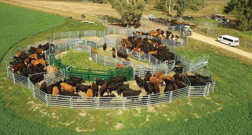 Factory supply high quality cheap field yard used cattle cheap galvanized cattle yard horse fence corral panel