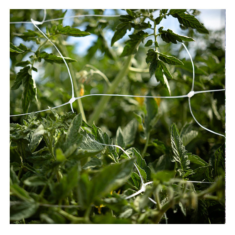 Vegetable and fruit gardening plastic mesh plastic trellis screen white plastic trellis