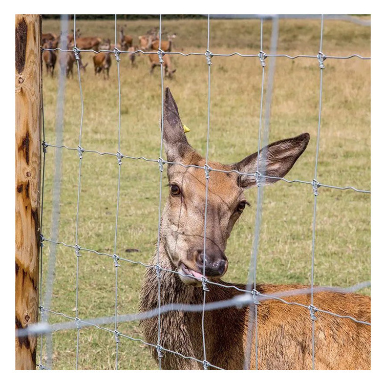 Cheap pasture goat grassland field fence  farm and field fence 100m roll field fence