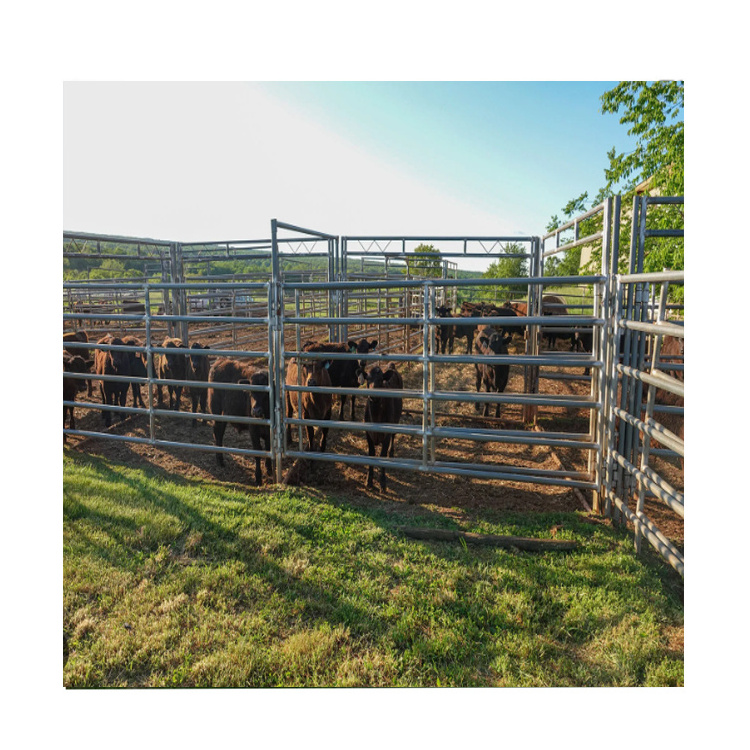 High quality cheap cattle yard panels australia free standing cattle panels