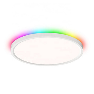 Home Bedroom Smart RGB Atmosphere Back Luminous Ceiling Lighting Ultra-thin LED Circular Ceiling Light