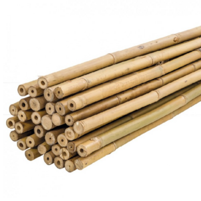 Bamboo Supplier in China Bamboo Raw Materials Huaiji Tokin Bamboo Pole