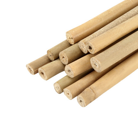 Bamboo Supplier in China Bamboo Raw Materials Huaiji Tokin Bamboo Pole