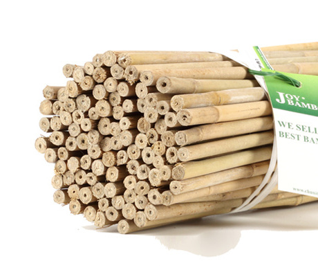 Bamboo Supplier in China Bamboo Raw Materials Huaiji Tokin Bamboo Pole