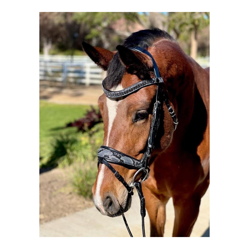 High Quality Products Medusa Snaffle Long-lasting Pvc Bridle With Rein For Horse Riding From India folded