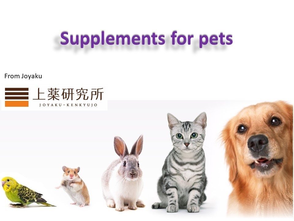 Japanese reliable multifunctional dog supplement chewy pet health food to improve the body