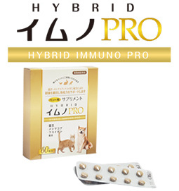 Japanese reliable multifunctional dog supplement chewy pet health food to improve the body