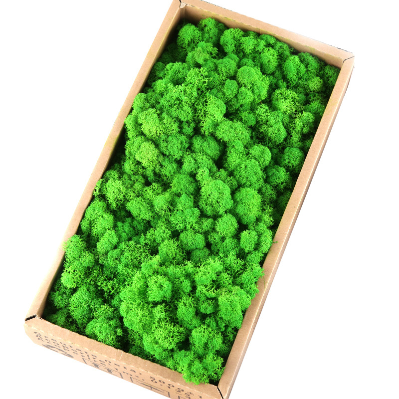 Ready Made Customized Office Decoration 3D Real Natural Moss Reindeer Moss Stabilized Wall Art Frame Wholesale