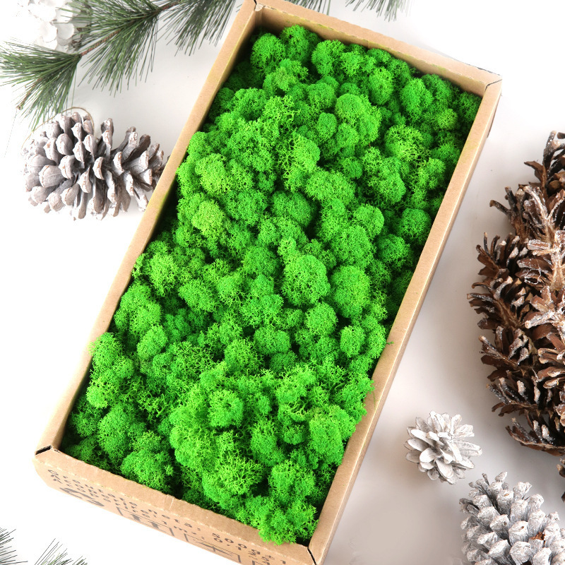 Ready Made Customized Office Decoration 3D Real Natural Moss Reindeer Moss Stabilized Wall Art Frame Wholesale