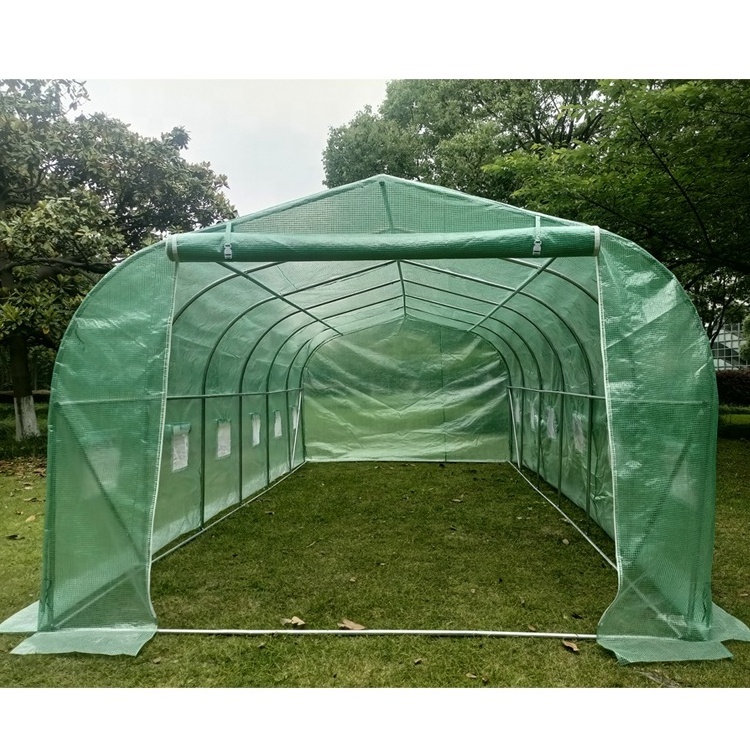 Factory direct supply spire top poly tunnel green house agricultural mini small greenhouse for sale