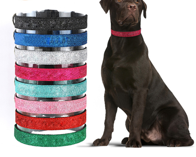 Professional pet supplies leather dog neck collar shiny and cool dog collar