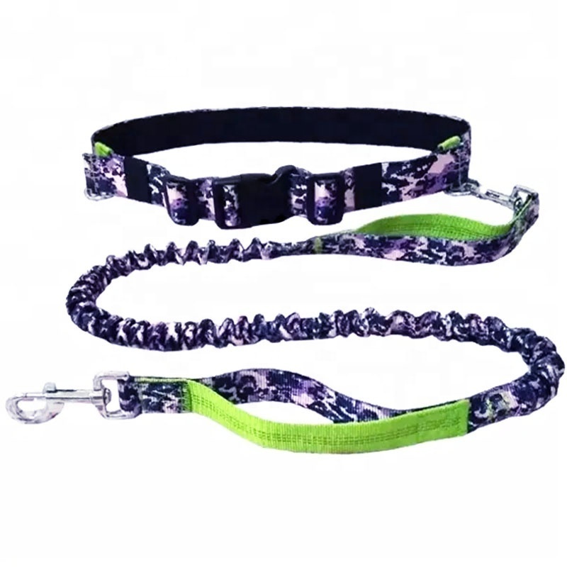 Customized Print Shock Absorbing Dog Running Sublimation Bungee  Heat Transfer Pet Leash