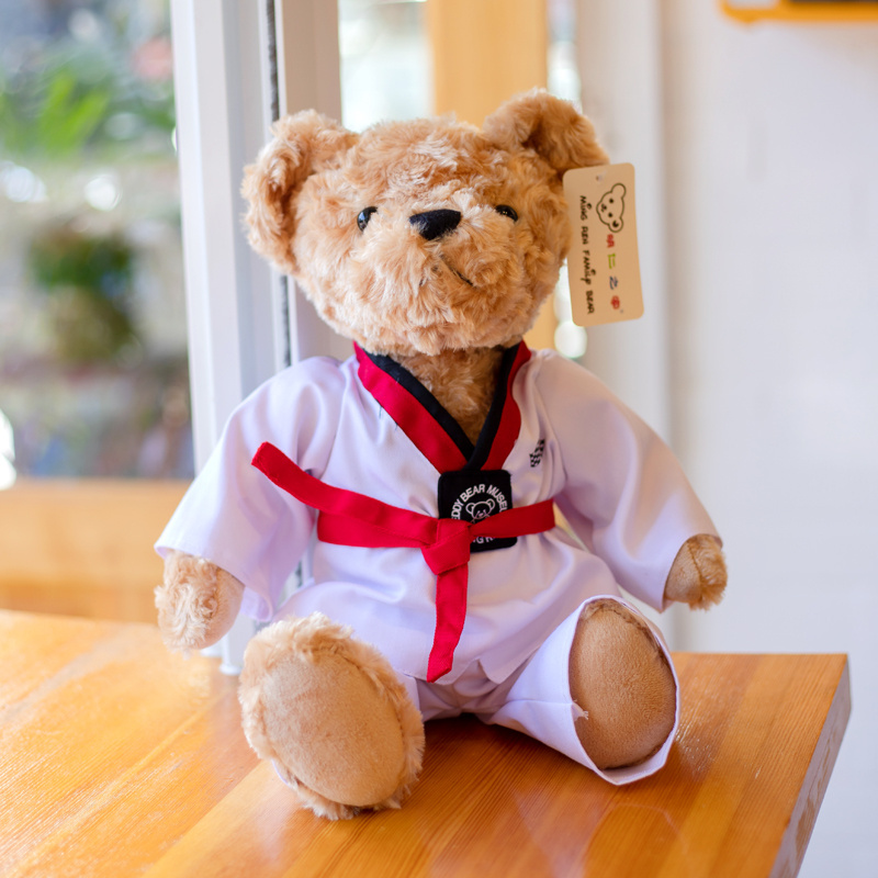 25cm 35cm Teddy Bear Stuffed Animals with Taekwondo Uniform Birthday Gift for Kids Boys Girls Taekwondo Bear