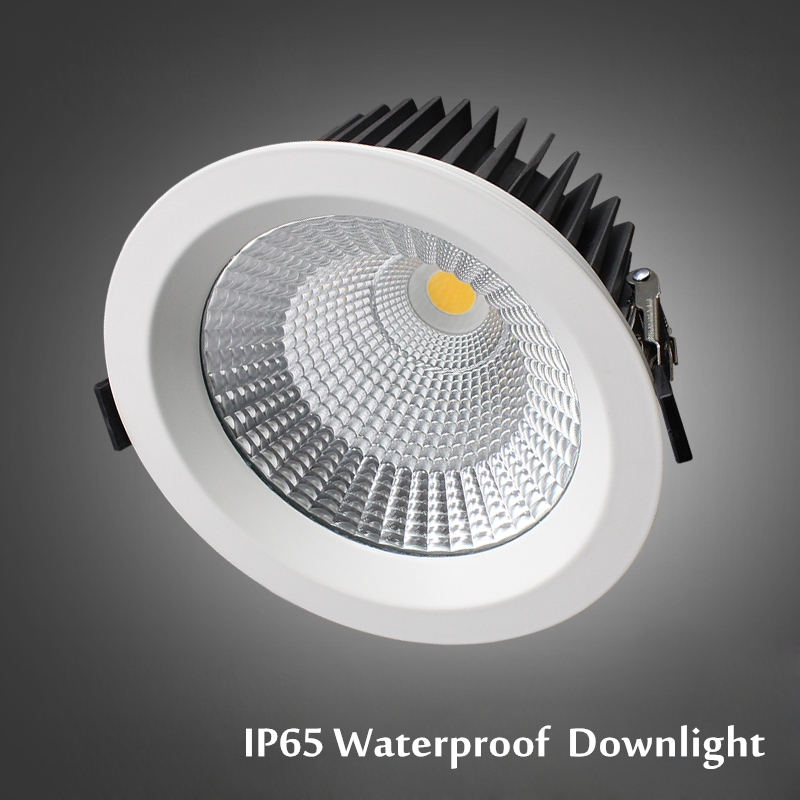 JOYINLED Waterproof Ceiling Recessed LED Spot Light AC85-265V 20W/15W/12W/10W IP65 LED Downlight for Bathroom Shower Room Sauna