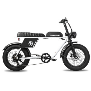 JOYKIE urban street 20 inch wheel 2 seat aluminum alloy frame 750w 48v ebike fat tire electric bike