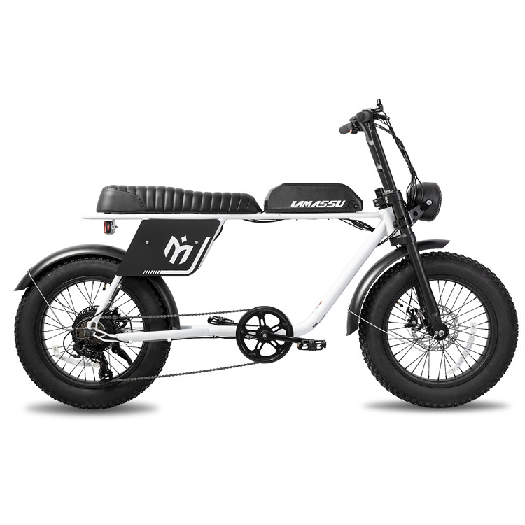 JOYKIE Good Quality Tandem Electric Bicycle Man Nice Price 20 Inch 750W Fat Tires Ebike