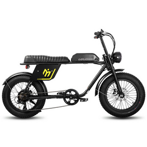 JOYKIE Good Quality Tandem Electric Bicycle Man Nice Price 20 Inch 750W Fat Tires Ebike