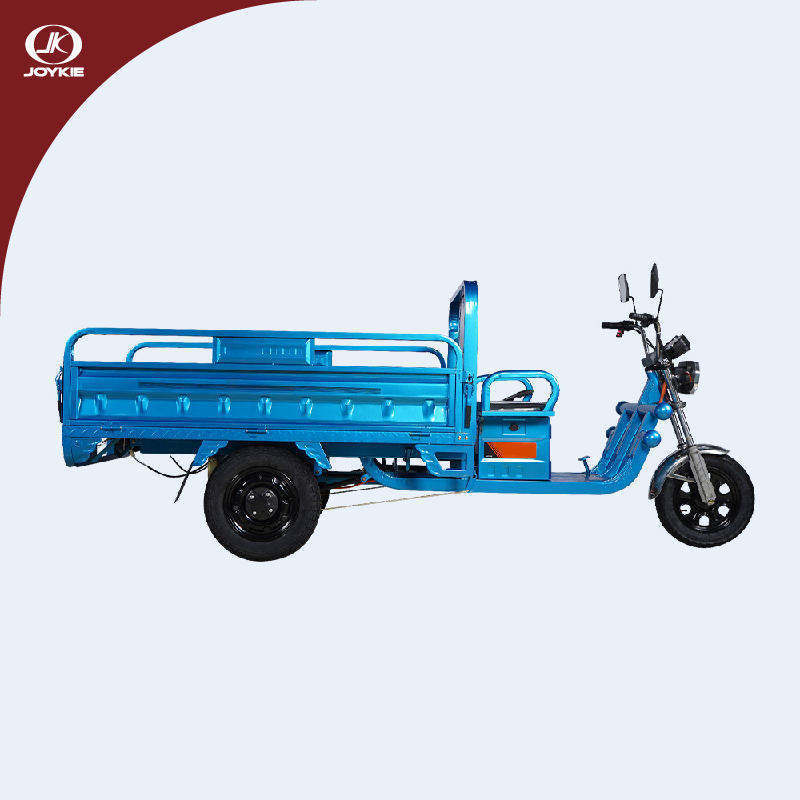 JOYKIE 1200w 48v 60V 20A  Hot Electric motorised Tricycles Cargo Truck Big Wheel Tricycle for Adult sale