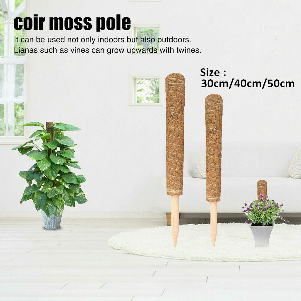 JM Plant Support Totem Pole Coconut Sticks Coco Coir Poles Support Plants To Grow Upwards Use Moss Poles Scindapsus Climbing