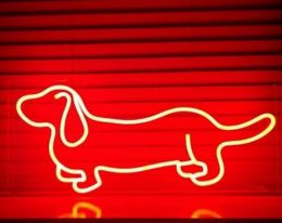 French bulldog custom dropshiping LED  neon light high quality custom letter neon sign