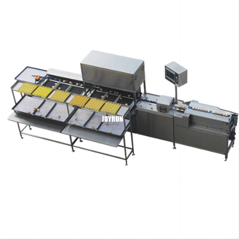 2024 egg grading machine automatic egg grading packing machine