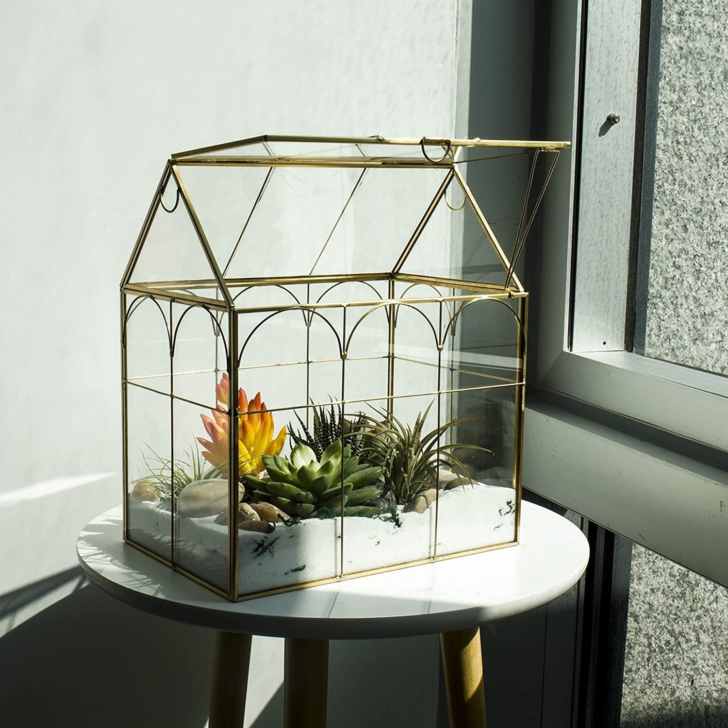 Large Tall Plant Terrarium Glass or  Glass Greenhouse Terrarium with Lid Indoor Tabletop Orchid Succulent Cacti Terrarium