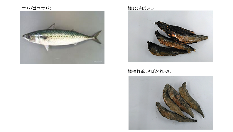 Popular Flavor dried bonito and mackerel flakes mix  good for Japanese ramen soup ang misoshiru 1kg 5kg 10kg