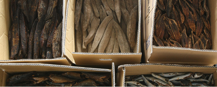 High quality dried skipjack tuna and dried mackerel for sale Factory-direct Japanese products Ideal for seasoning processing