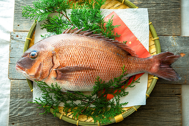 Seafood hot sale elegant deep taste vibrant color fish japanese red sea bream for sale