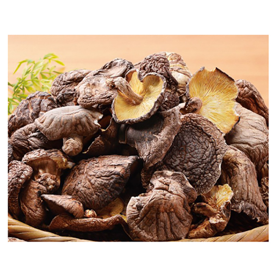 High quality bulk japan shitake pieces of dried mushrooms for wholesale