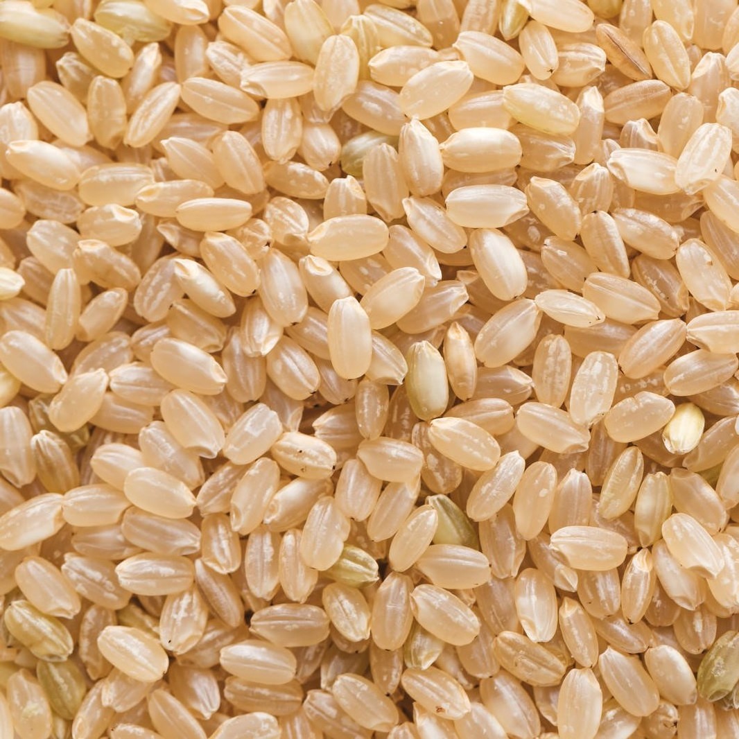 Japanese Safe High Quality Unpolished 20Kg Import Rice for Sale