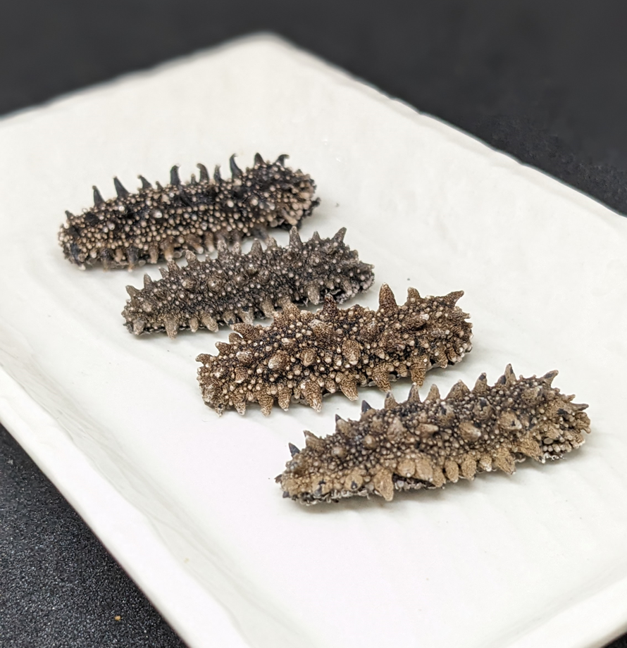 Highest Quality Product Hokkaido Nutritious Sea Cucumber Price for Dried