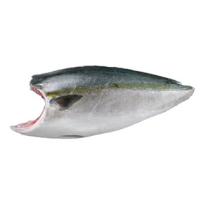 Japanese Suppliers Dried Bulk Fresh Sea Food Other Fish Frozen