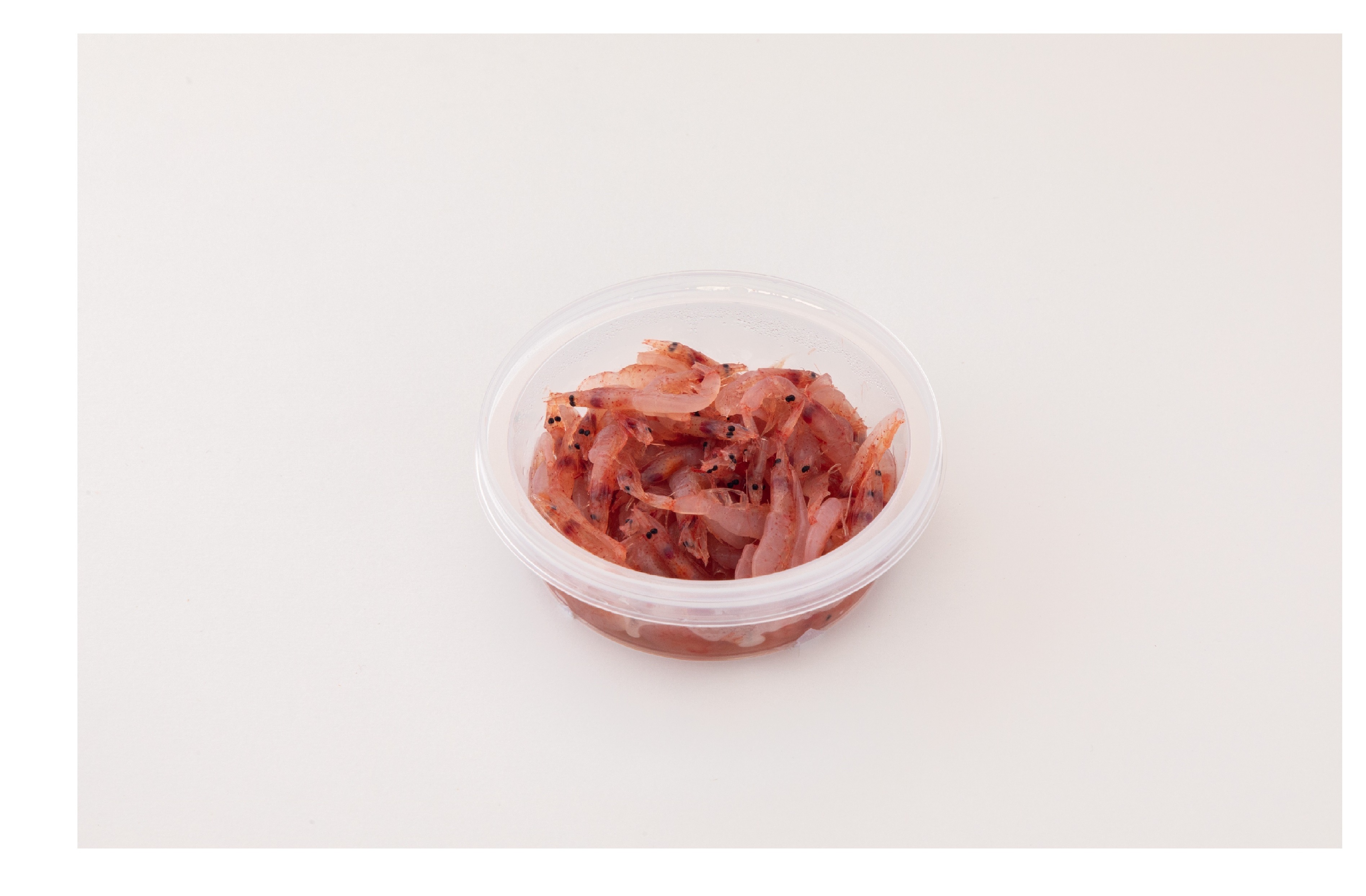 High Quality Material Wholesale Fresh Frozen Shrimp Importers