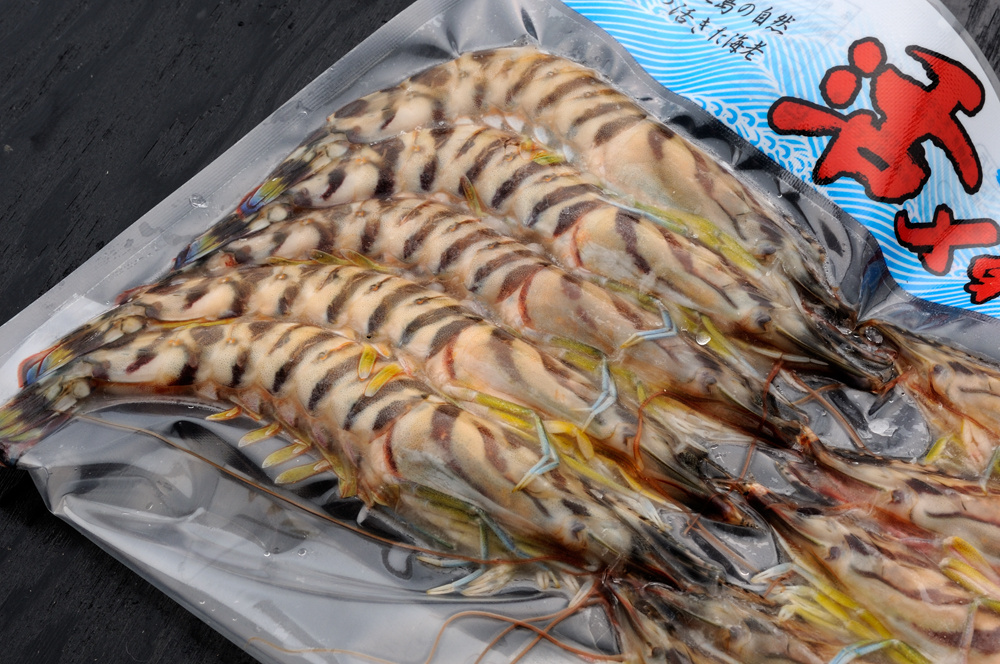 Delicious high quality Japan seafood frozen kuruma prawn shrimp