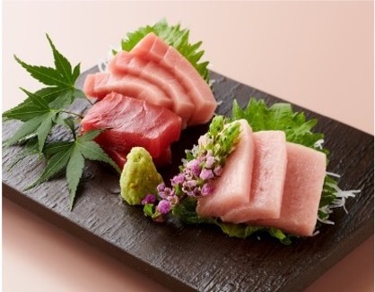 Japanese Dried Tuna Fillet Product Frozen Fresh Fish Seafood